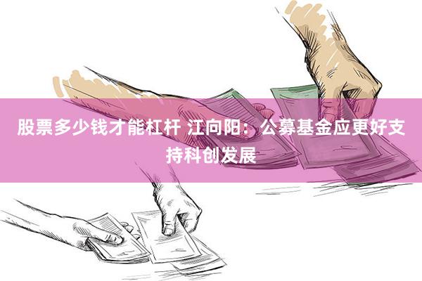 股票多少钱才能杠杆 江向阳：公募基金应更好支持科创发展