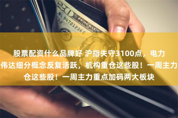 股票配资什么品牌好 沪指失守3100点，电力板块掀涨停潮！英伟达细分概念反复活跃，机构重仓这些股！一周主力重点加码两大板块