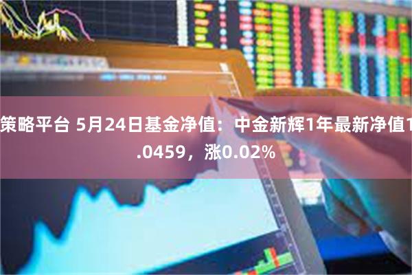 策略平台 5月24日基金净值：中金新辉1年最新净值1.0459，涨0.02%