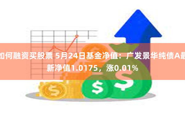 如何融资买股票 5月24日基金净值：广发景华纯债A最新净值1.0175，涨0.01%