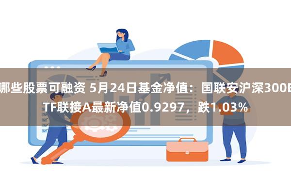 哪些股票可融资 5月24日基金净值：国联安沪深300ETF联接A最新净值0.9297，跌1.03%