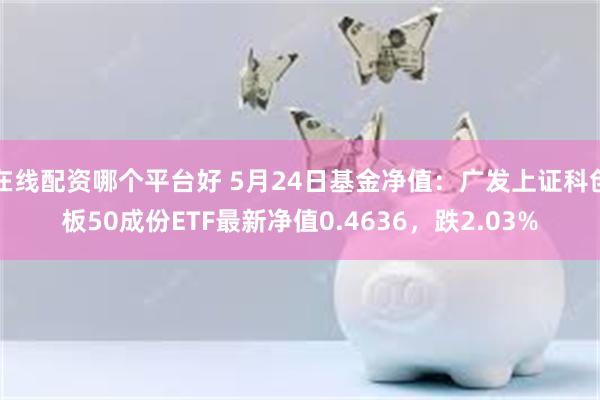 在线配资哪个平台好 5月24日基金净值：广发上证科创板50成份ETF最新净值0.4636，跌2.03%