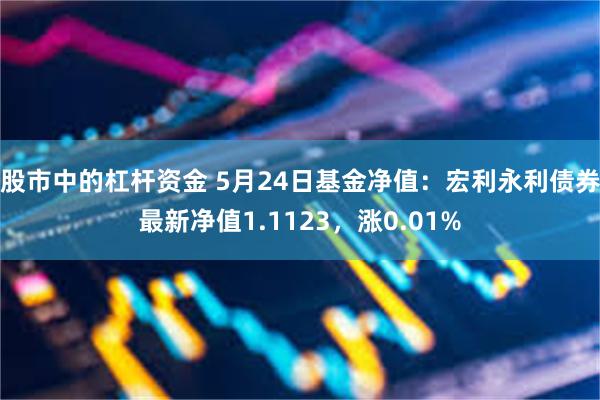 股市中的杠杆资金 5月24日基金净值：宏利永利债券最新净值1.1123，涨0.01%