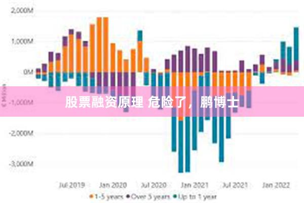 股票融资原理 危险了，鹏博士