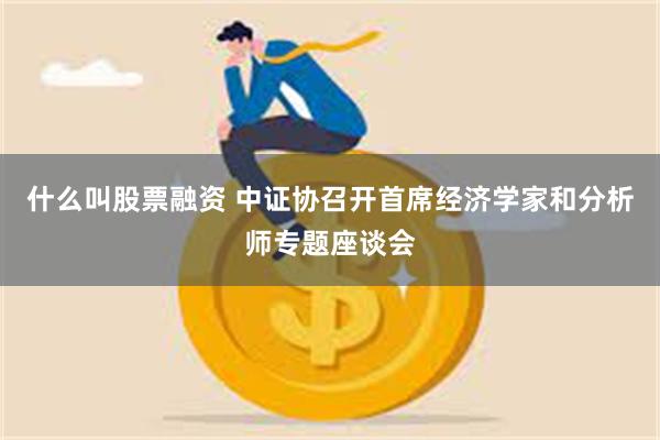 什么叫股票融资 中证协召开首席经济学家和分析师专题座谈会