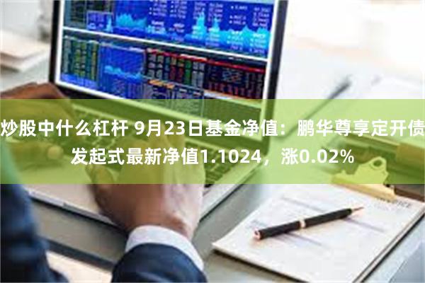 炒股中什么杠杆 9月23日基金净值：鹏华尊享定开债发起式最新净值1.1024，涨0.02%