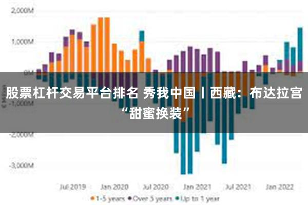 股票杠杆交易平台排名 秀我中国丨西藏：布达拉宫“甜蜜换装”